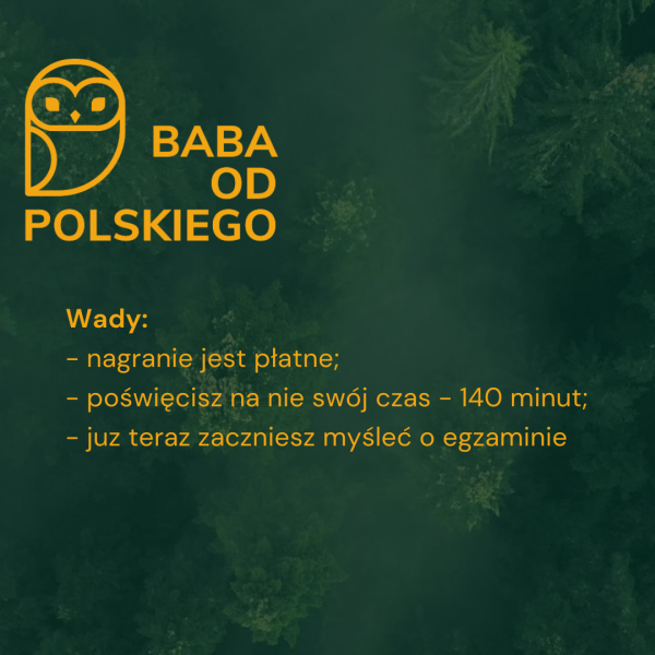 WEBINAR  PRZEZNACZONY DLA ZDAJĄCYCH MATURĘ 2021 - Baba od polskiego - obrazek 6