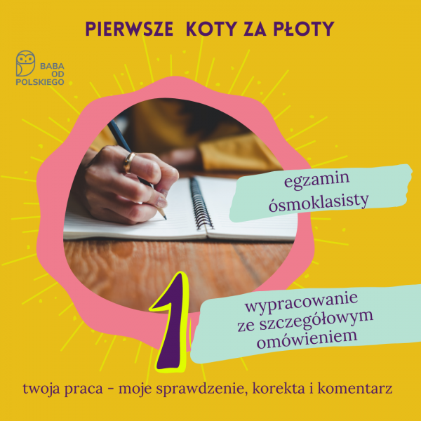 Sprawdzanie wypracowań - egzamin ósmoklasisty - (pojedyncza rozprawka)