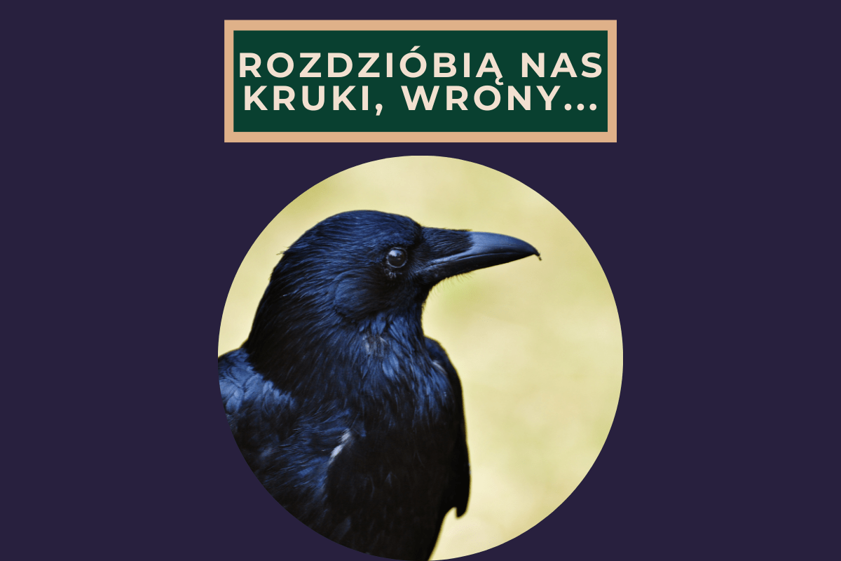Rozdziobią Nas Kruki Wrony Test Matura ustna – zagadnienia z „Rozdzióbią nas kruki, wrony…” z