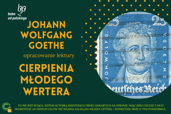 Johann Wolfgang Goethe - Cierpienia młodego Wertera - Baba od polskiego