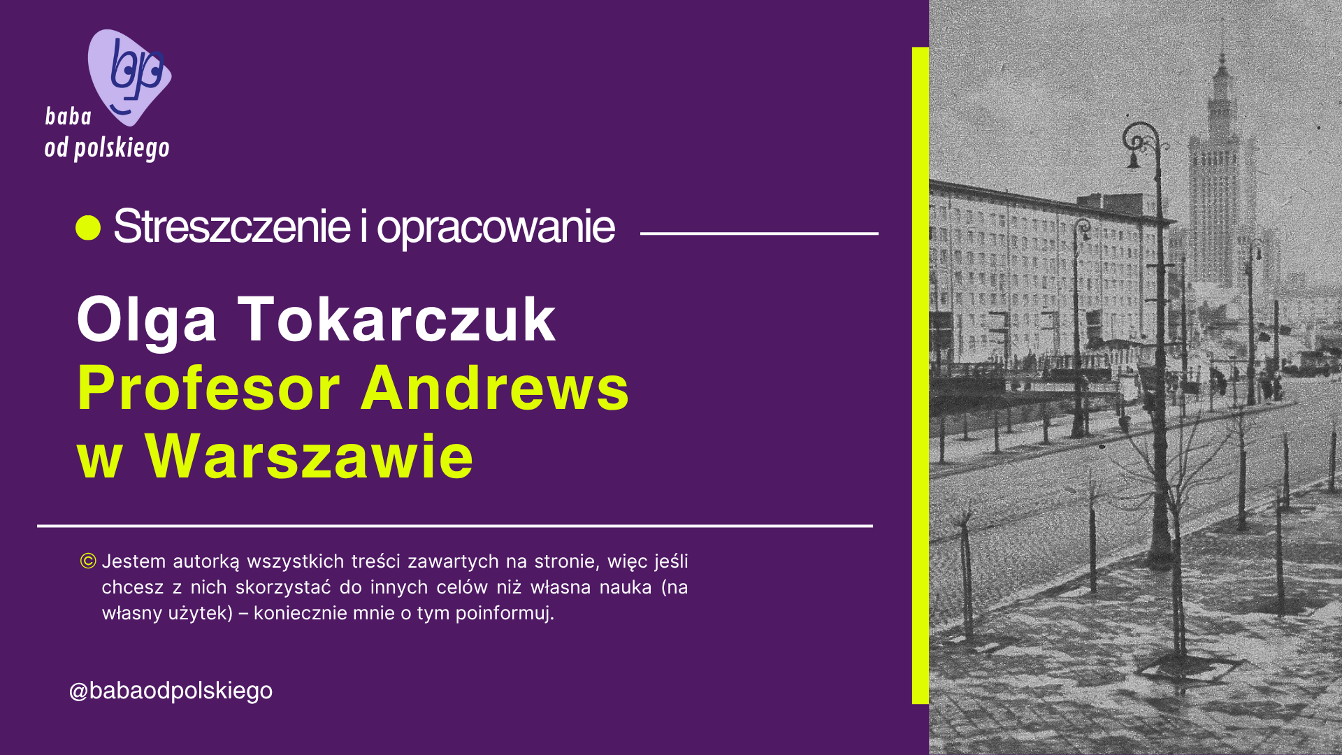 „Profesor Andrews w Warszawie”, Olga Tokarczuk — opracowanie i streszczenie