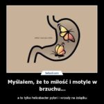 motyl etymologia