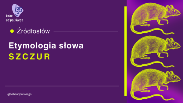 szczur etymologia