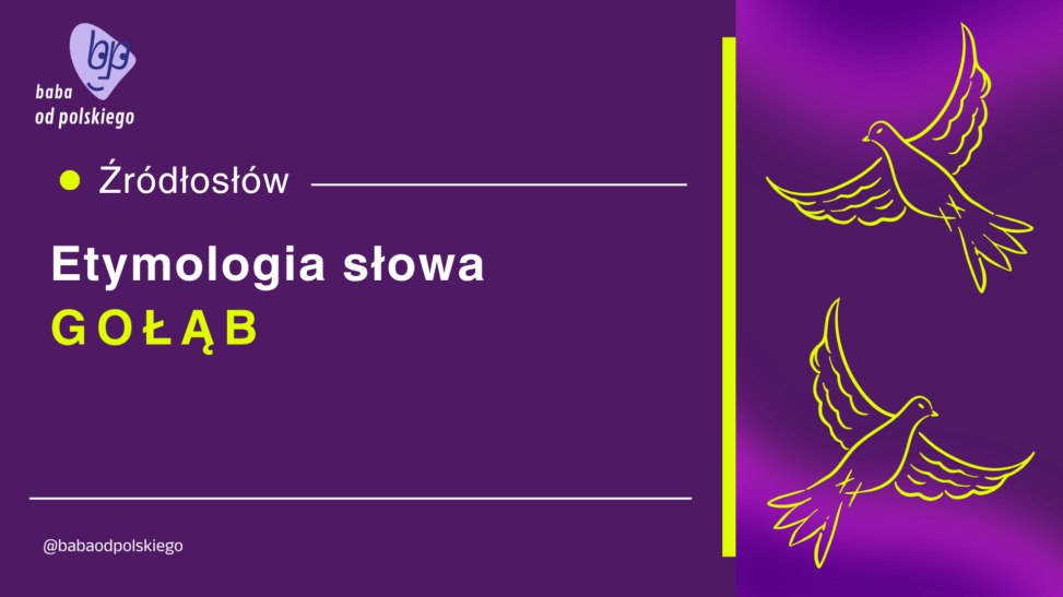 gołąb etymologia