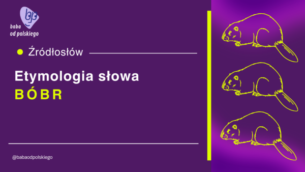 bóbr etymologia
