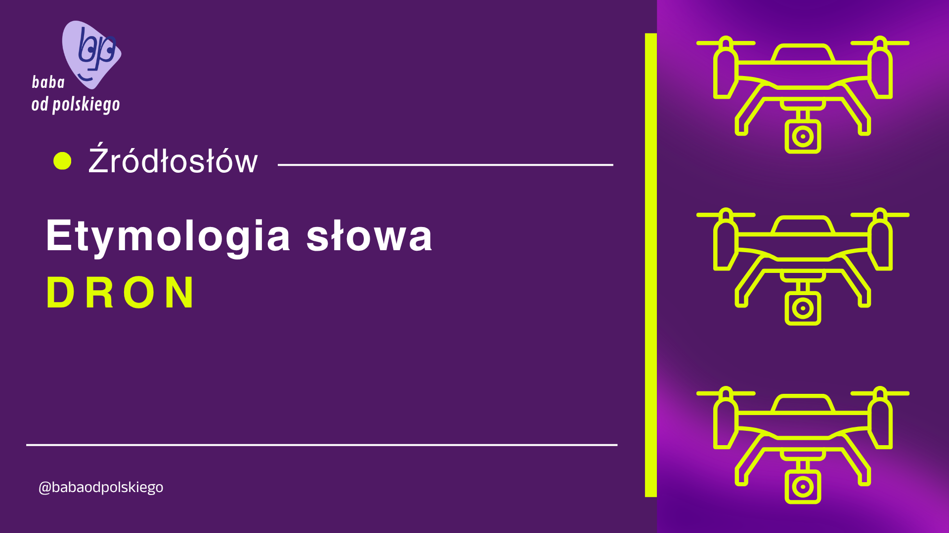 Źródłosłów: etymologia słowa dron