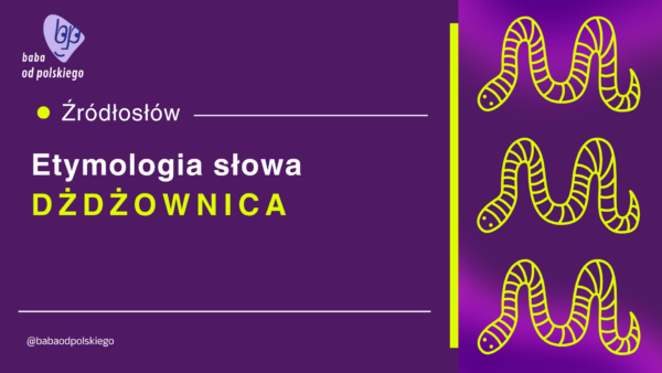 dżdżownica etymologia