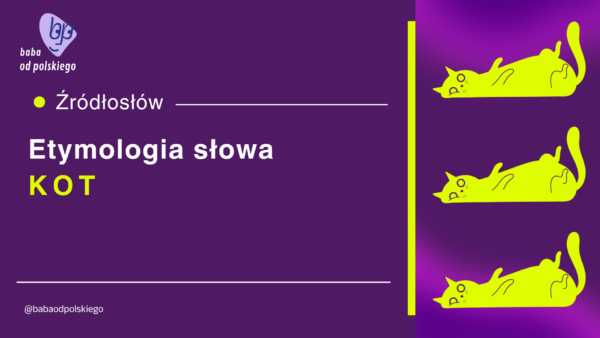 kot etymologia