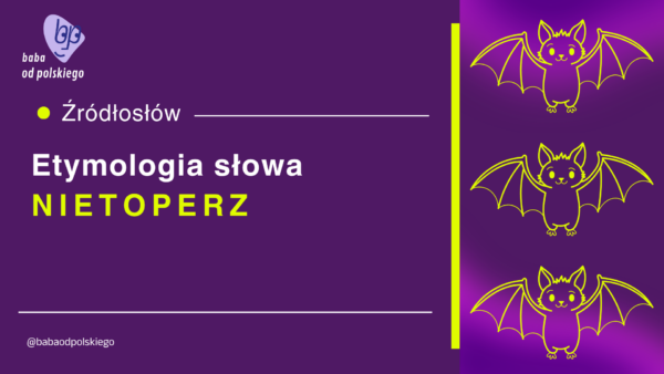 nietoperz etymologia