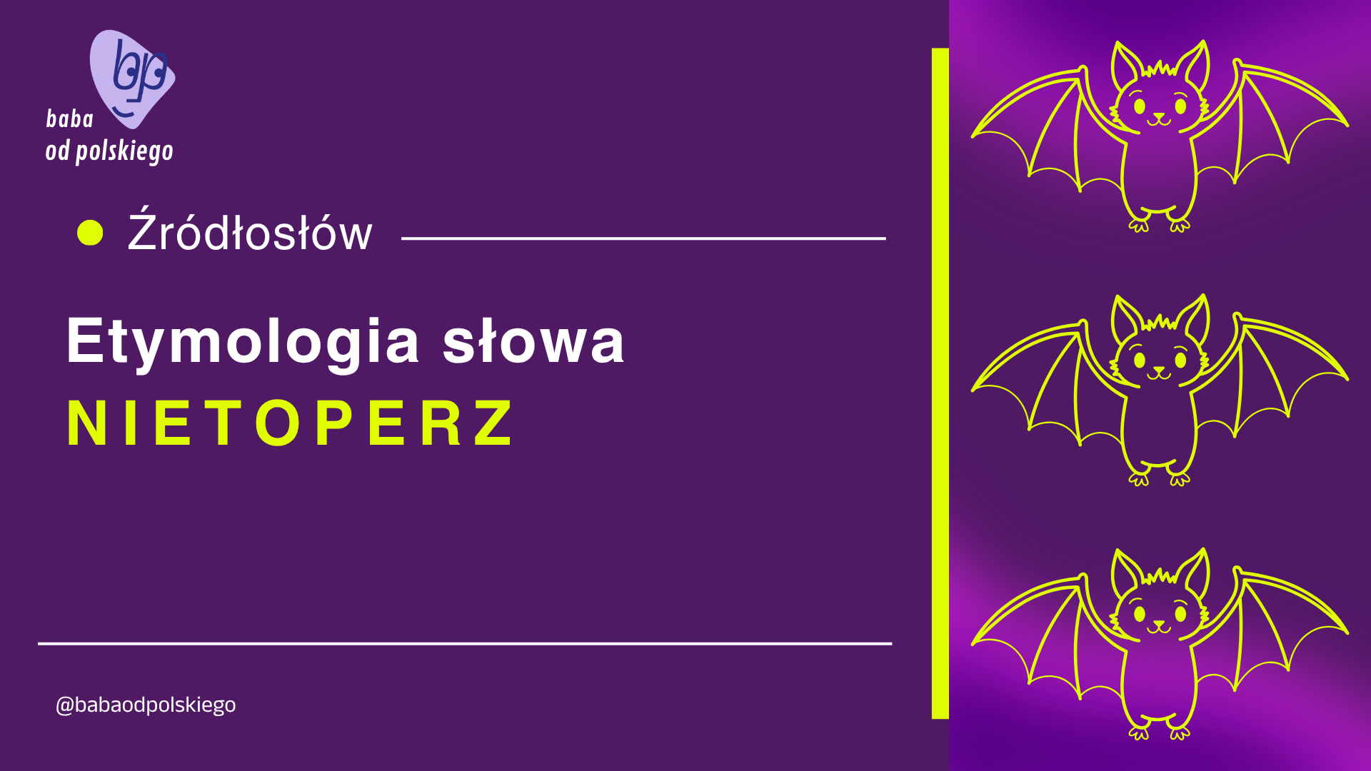 Źródłosłów: etymologia słowa nietoperz