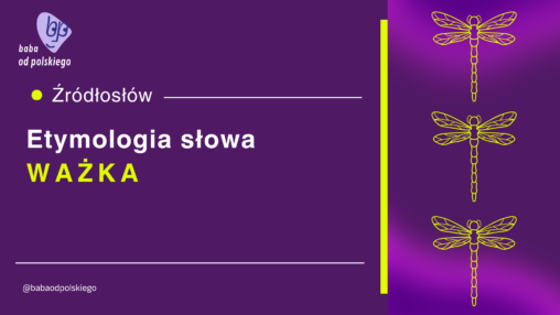 ważka etymologia