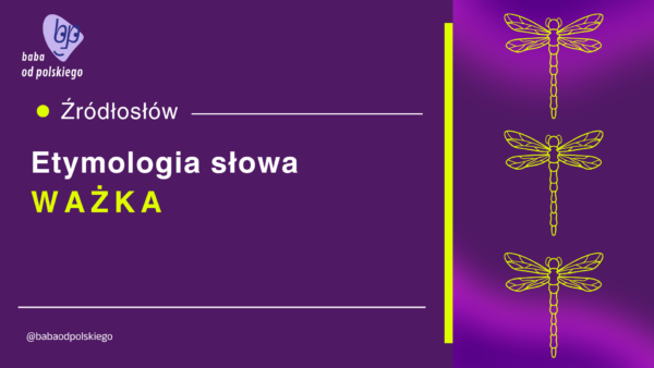 ważka etymologia