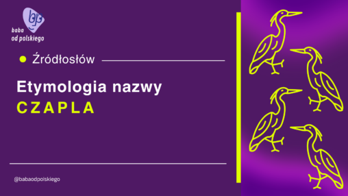 czapla etymologia