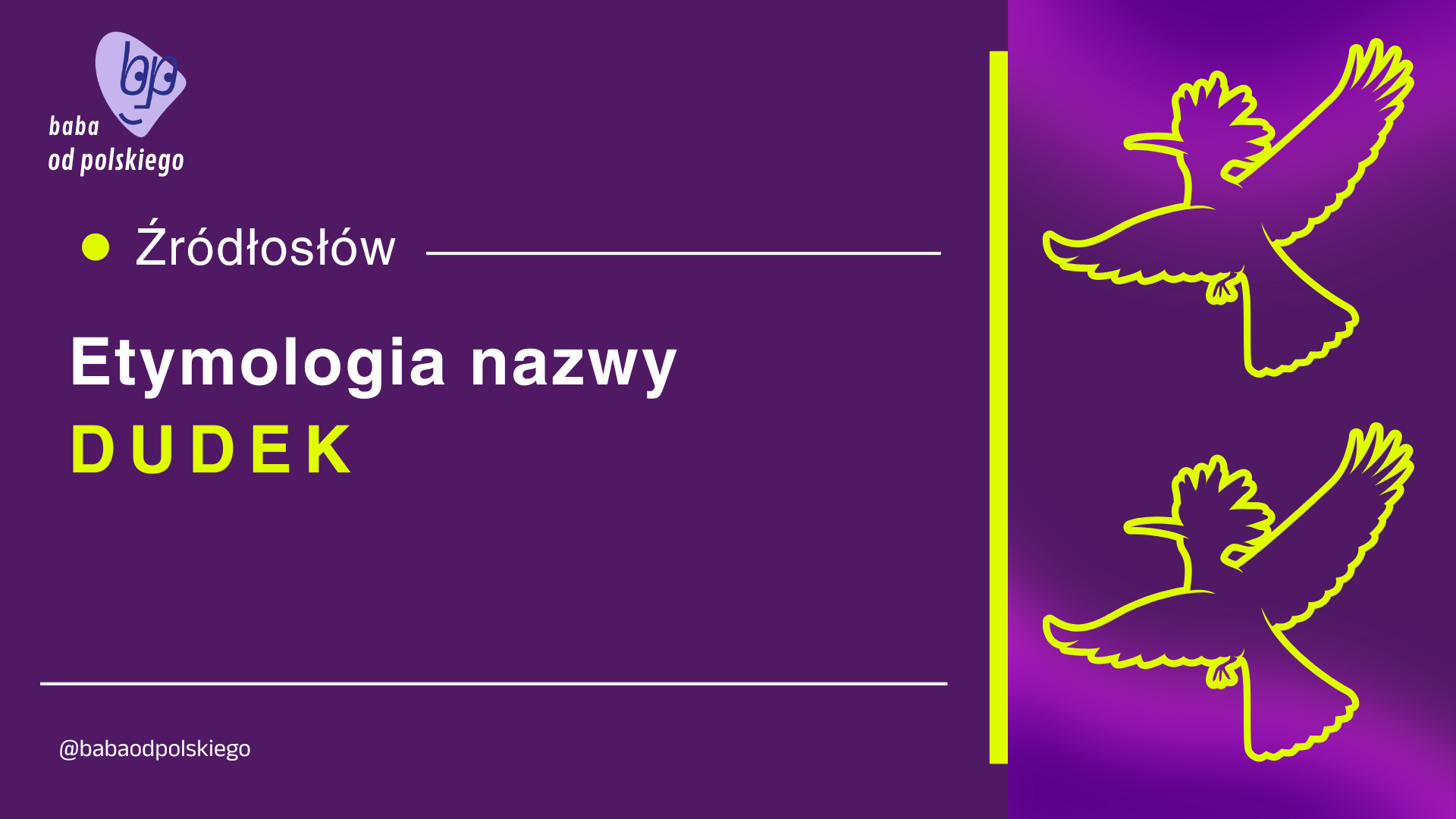 Źródłosłów: etymologia nazwy dudek
